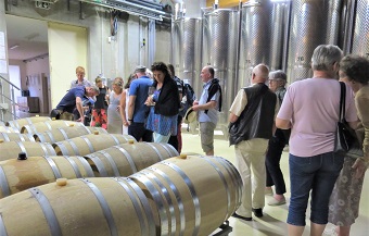 Bratislava Wine Tours