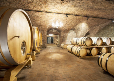 Slovakia Wine Tours