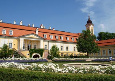 Slovakia Wine Tours