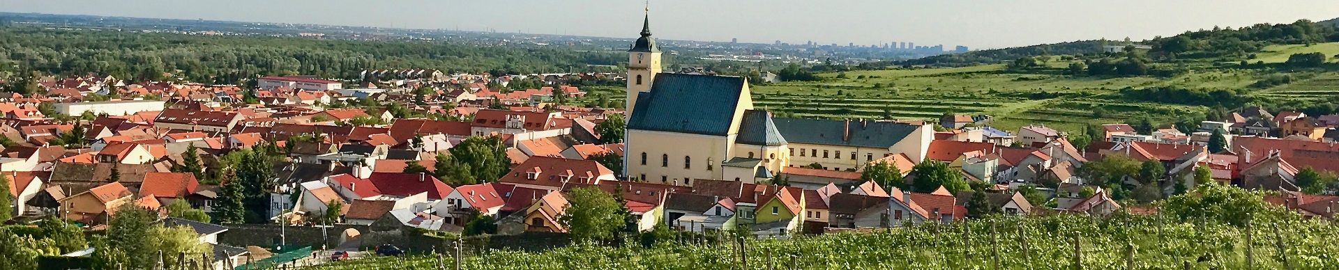 Weinbau der Slowakei